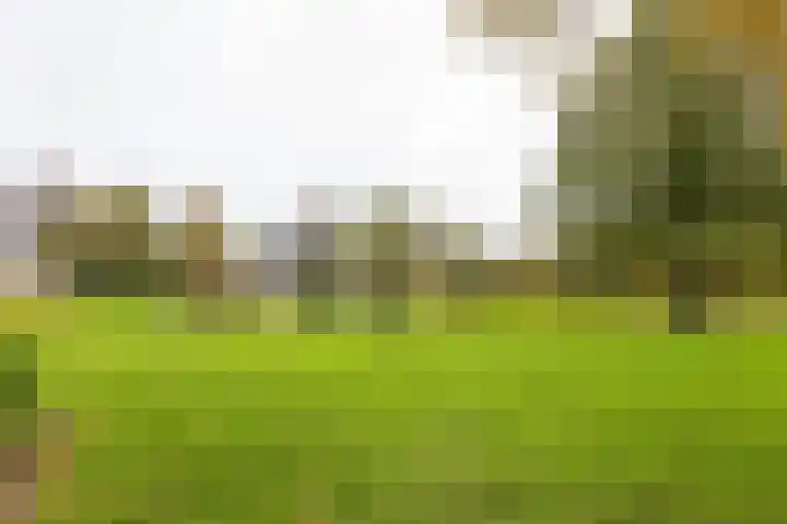 Lemselosestraat 25 Weerselo thumbnail 45