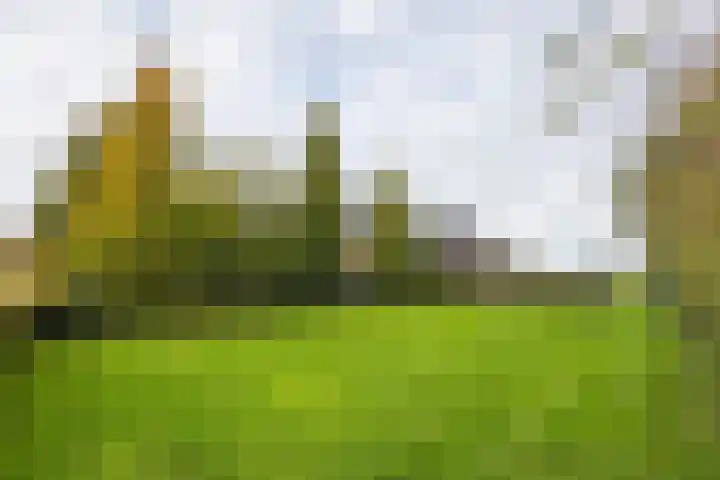 Lemselosestraat 25 Weerselo thumbnail 46