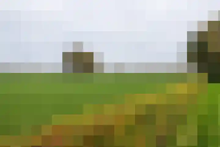 Lemselosestraat 25 Weerselo thumbnail 49