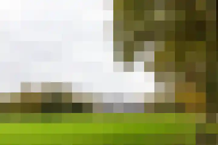 Lemselosestraat 25 Weerselo thumbnail 51
