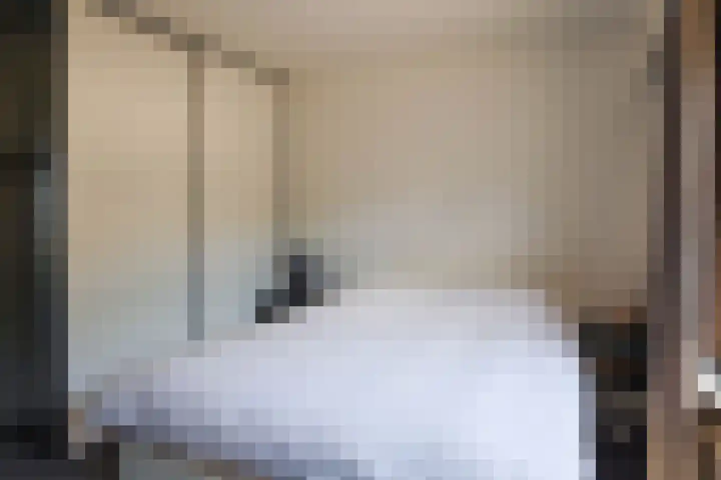 Lemseloseveldweg 12 Weerselo thumbnail 16