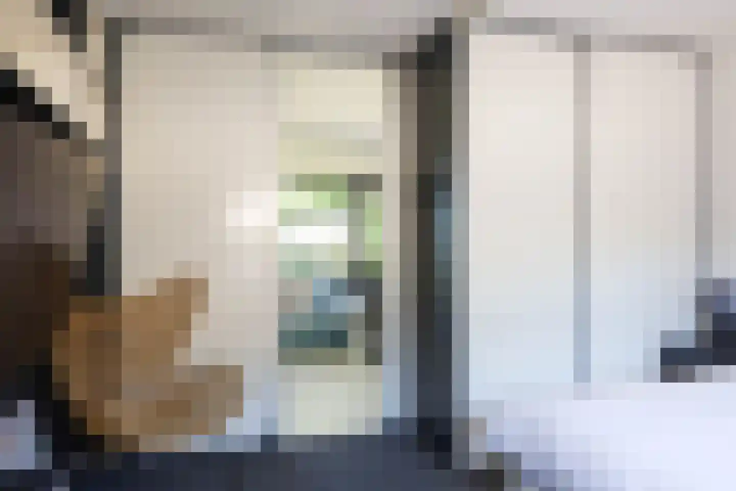 Lemseloseveldweg 12 Weerselo thumbnail 17