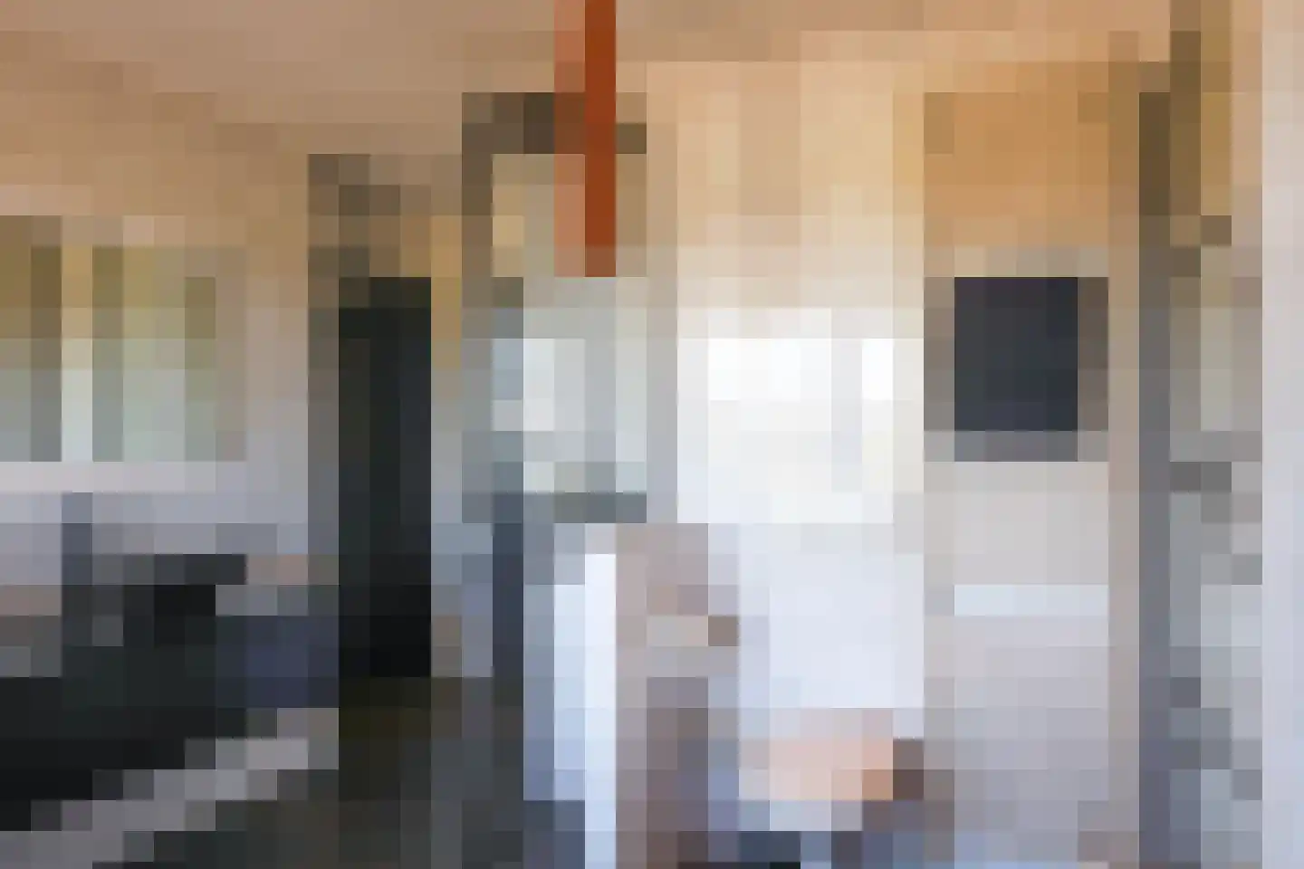Lemseloseveldweg 12 Weerselo thumbnail 25