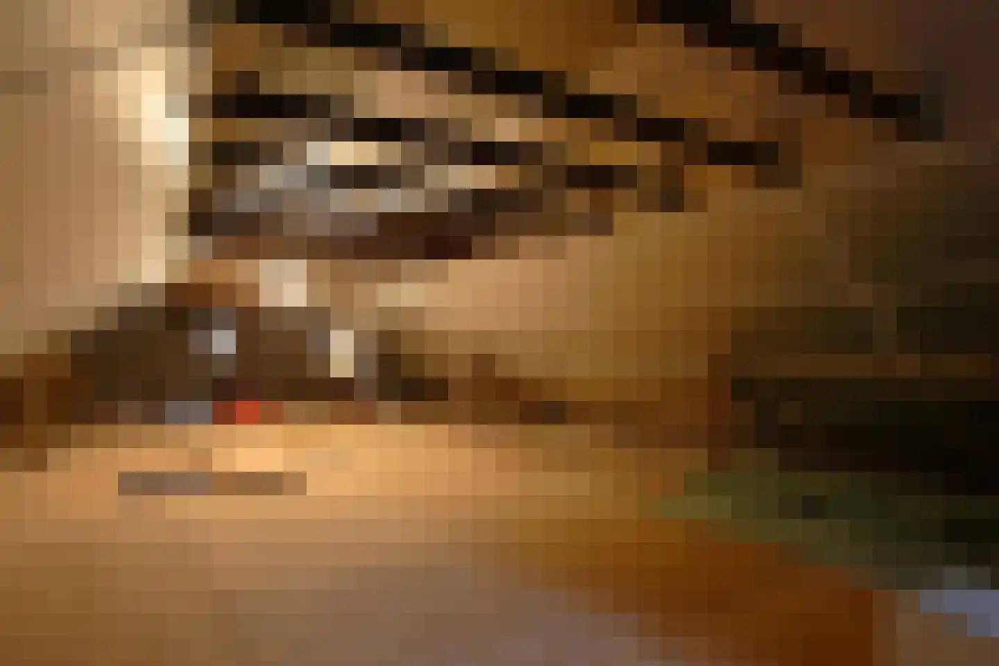 Lemseloseveldweg 12 Weerselo thumbnail 27