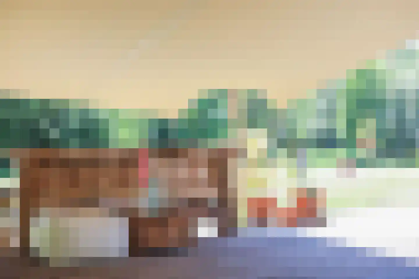 Lemseloseveldweg 12 Weerselo thumbnail 32
