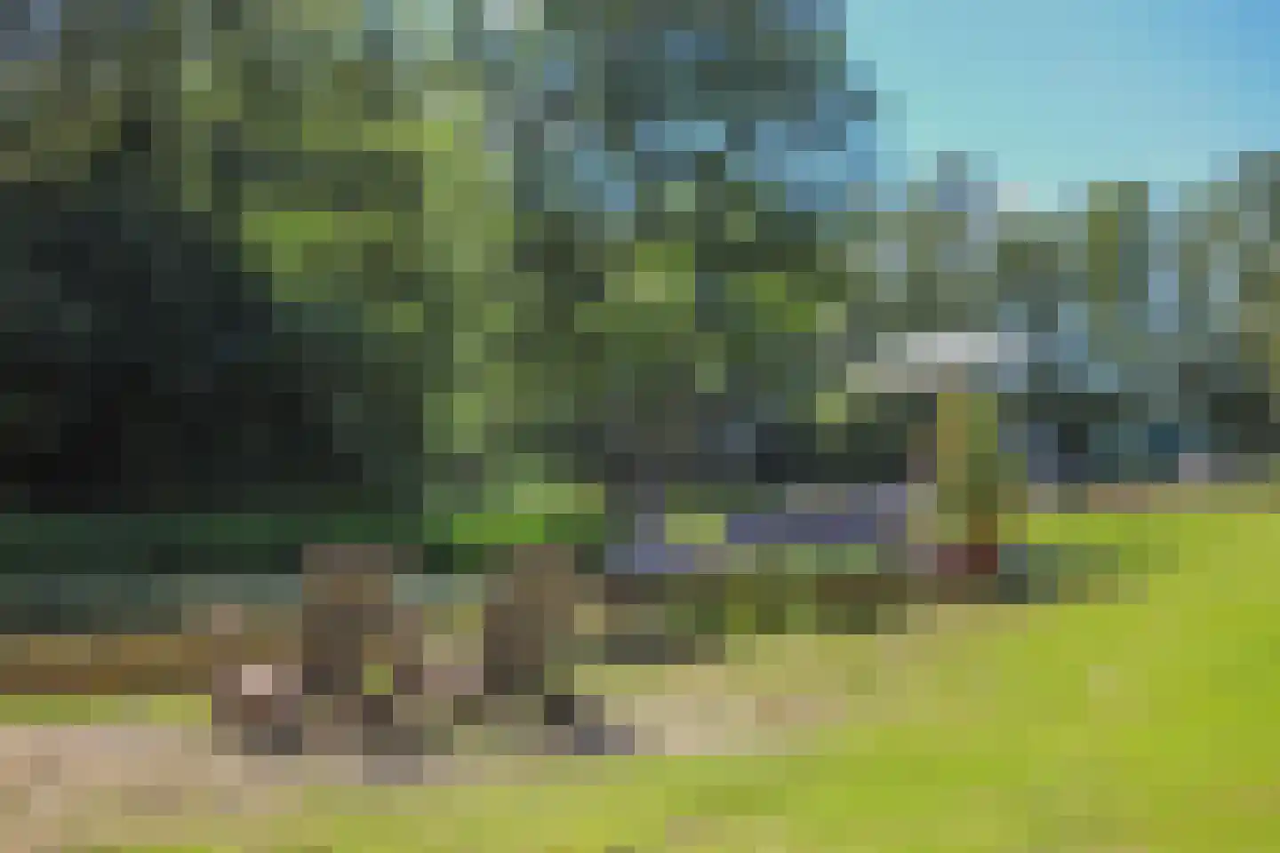 Lemseloseveldweg 12 Weerselo thumbnail 33