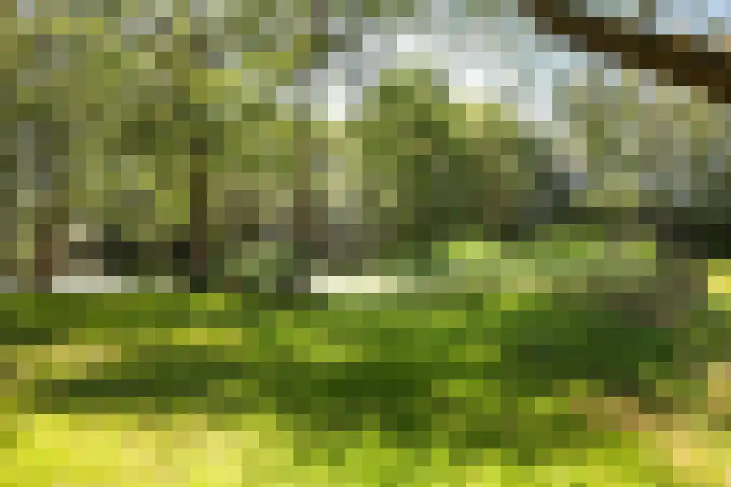 Lemseloseveldweg 12 Weerselo thumbnail 35