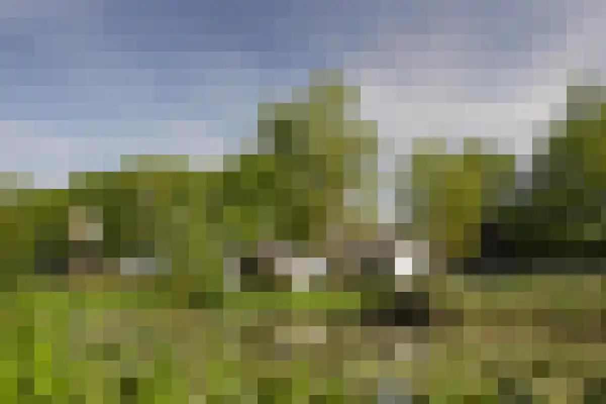 Lemseloseveldweg 12 Weerselo thumbnail 37