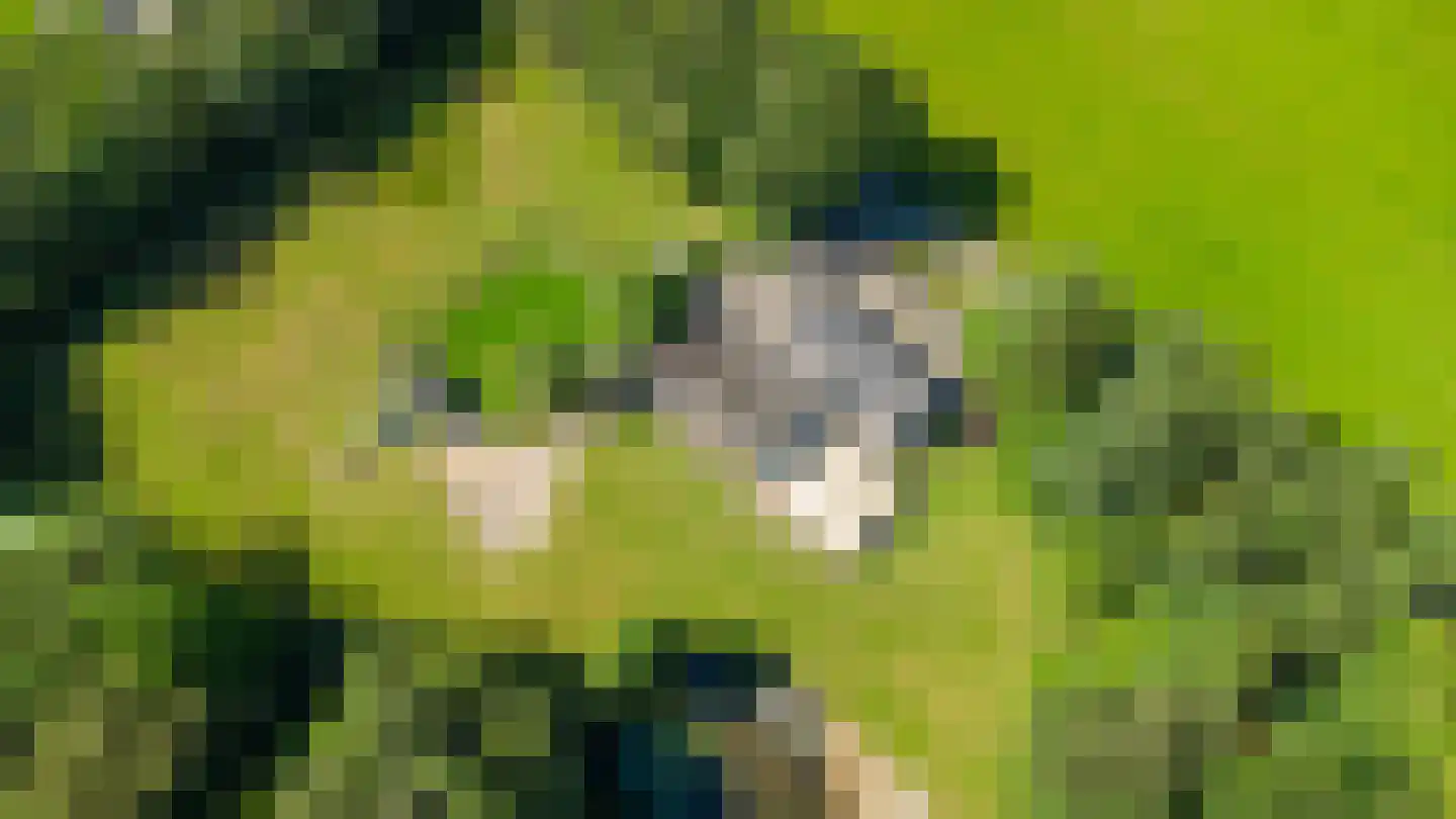 Lemseloseveldweg 12 Weerselo thumbnail 38