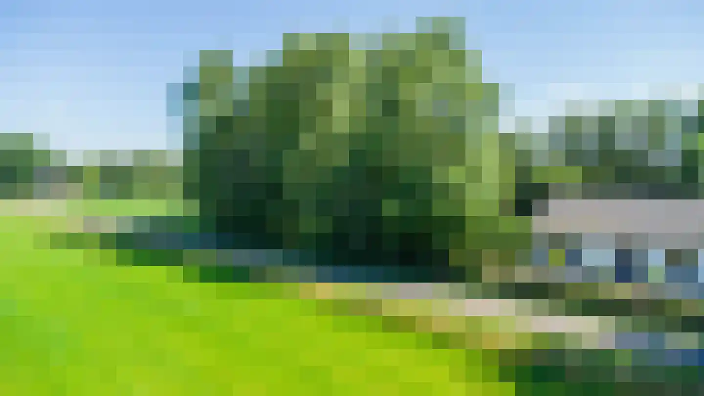 Lemseloseveldweg 12 Weerselo thumbnail 39
