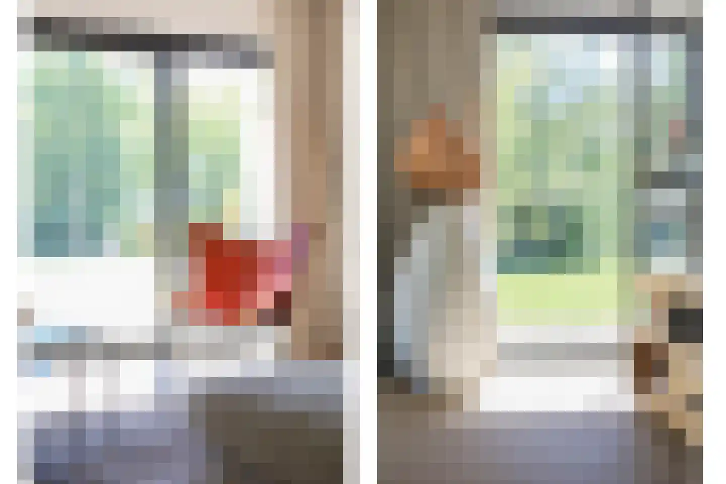 Lemseloseveldweg 12 Weerselo thumbnail 8