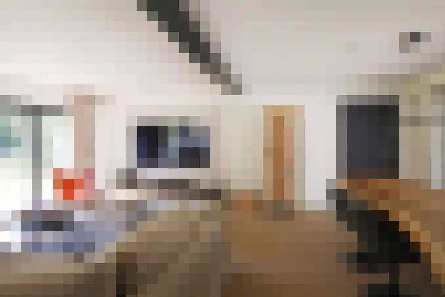 Lemseloseveldweg 12 Weerselo thumbnail 9