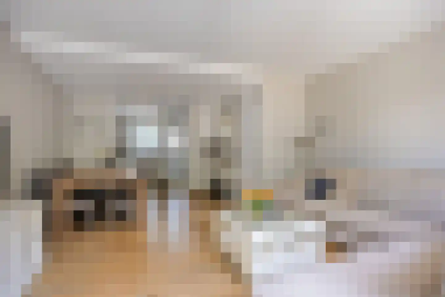 Lemsteraakwerf 5 Leiden thumbnail 10