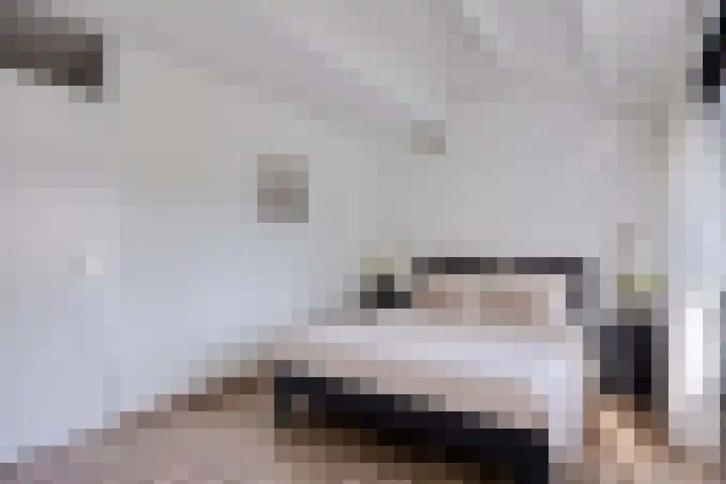 Lemsteraakwerf 5 Leiden thumbnail 18