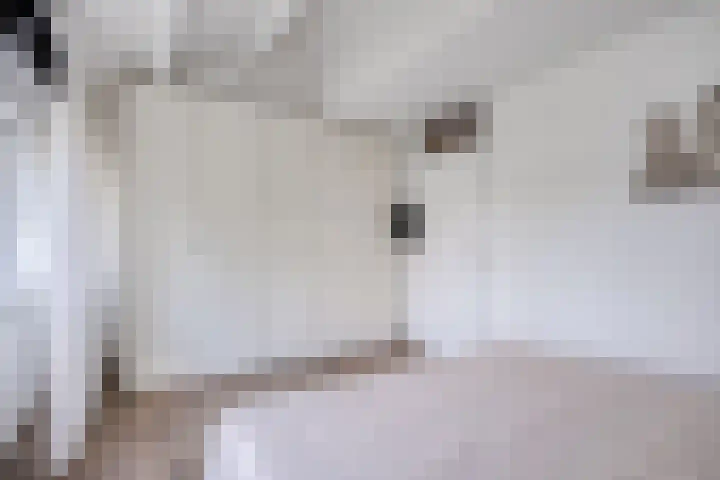 Lemsteraakwerf 5 Leiden thumbnail 19