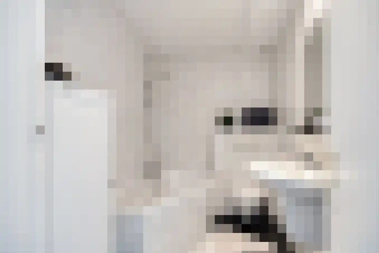 Lemsteraakwerf 5 Leiden thumbnail 20