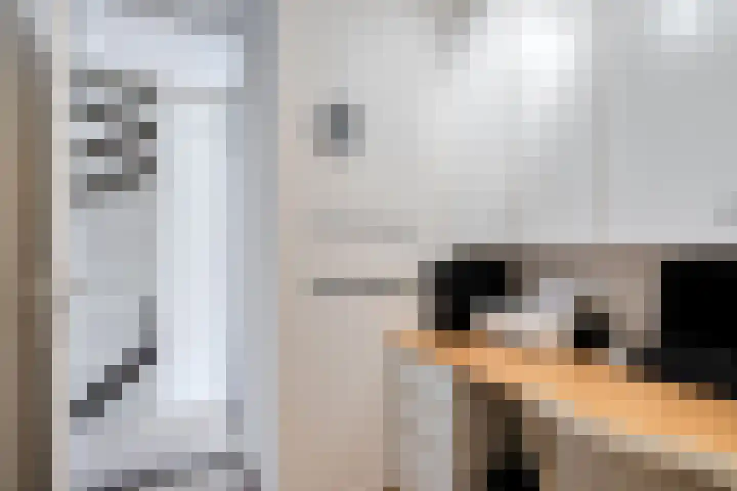 Lemsteraakwerf 5 Leiden thumbnail 26