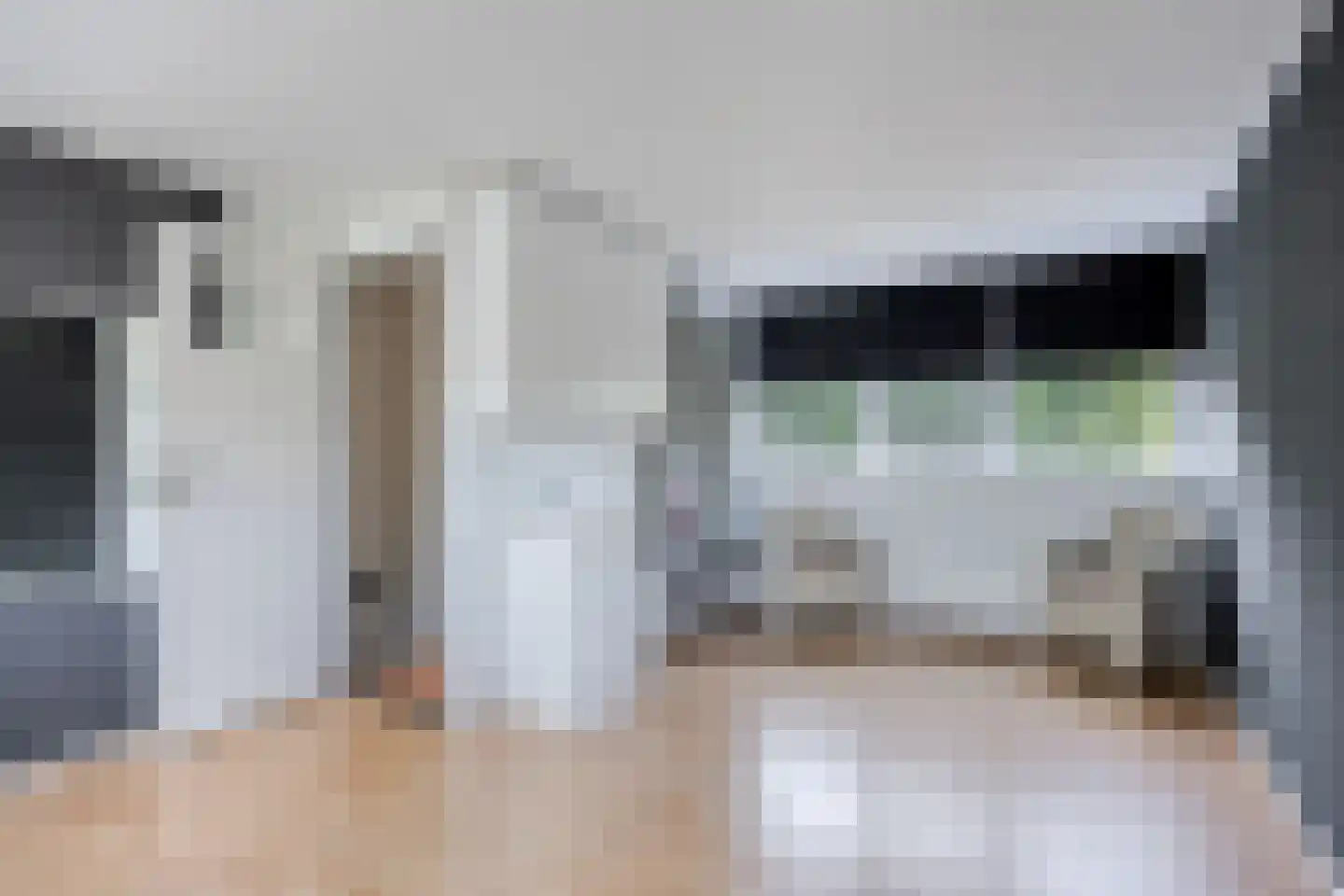 Lemsteraakwerf 5 Leiden thumbnail 27