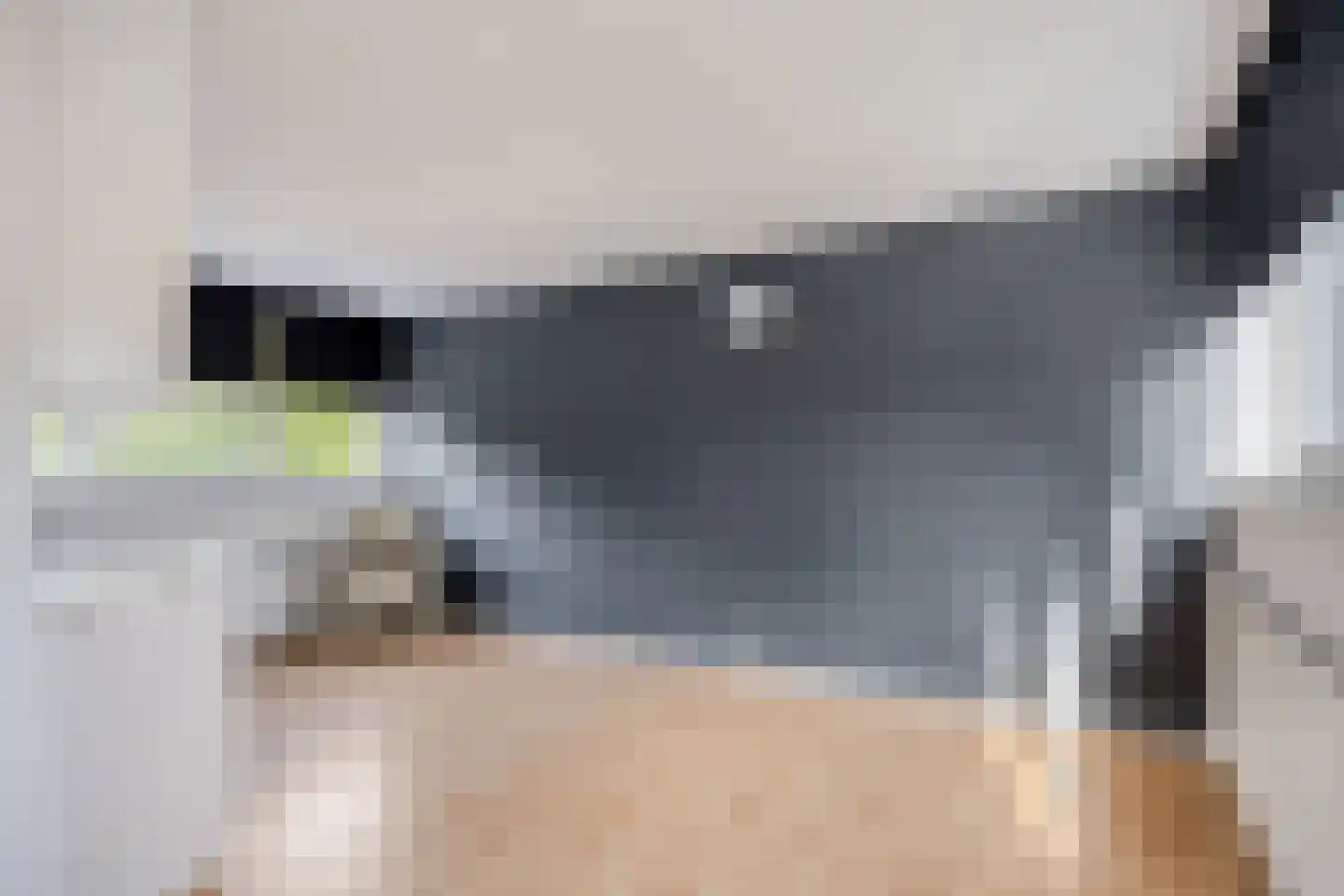Lemsteraakwerf 5 Leiden thumbnail 28