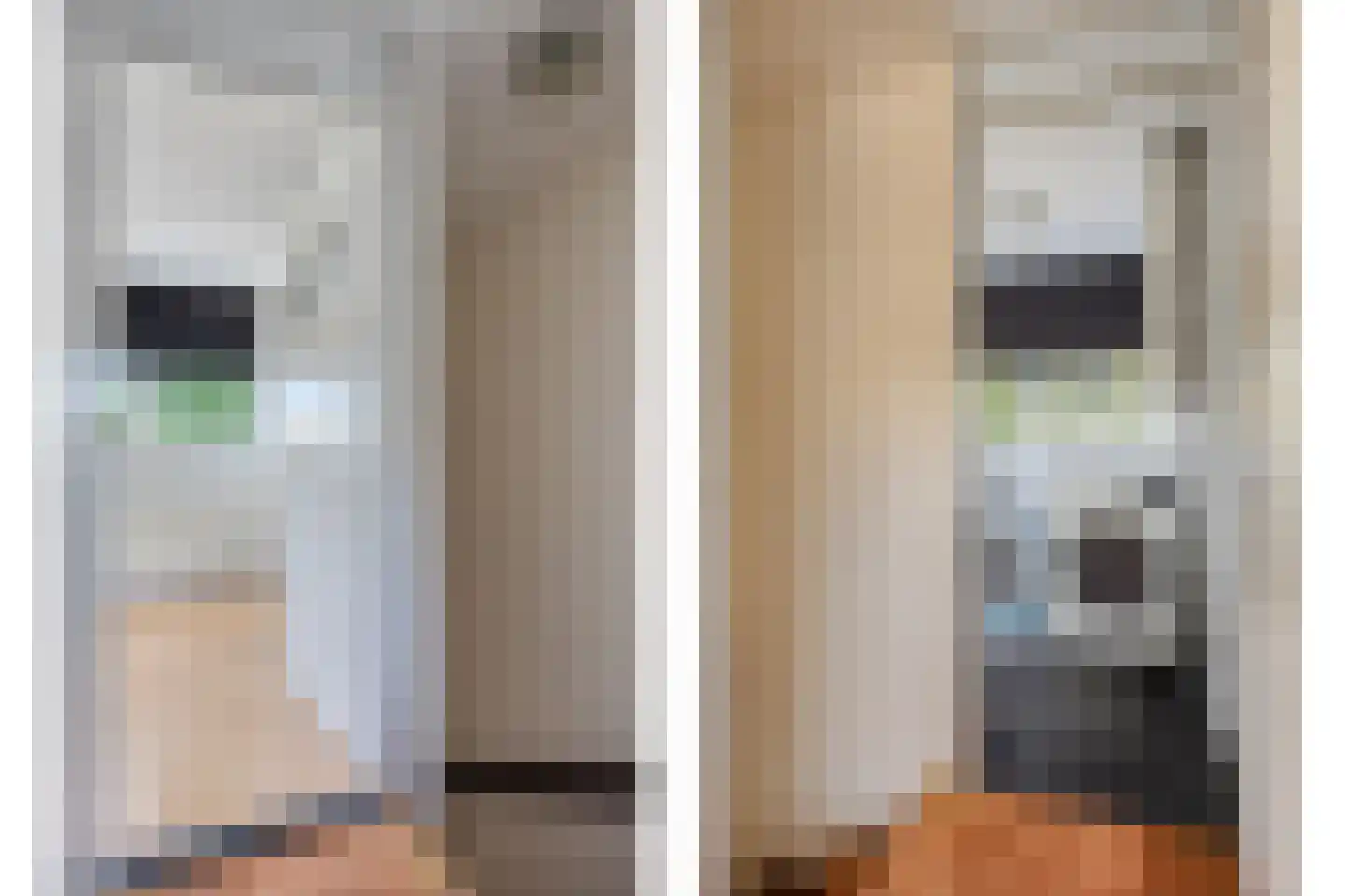 Lemsteraakwerf 5 Leiden thumbnail 30