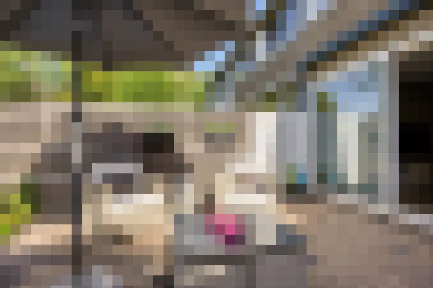 Lemsteraakwerf 5 Leiden thumbnail 31