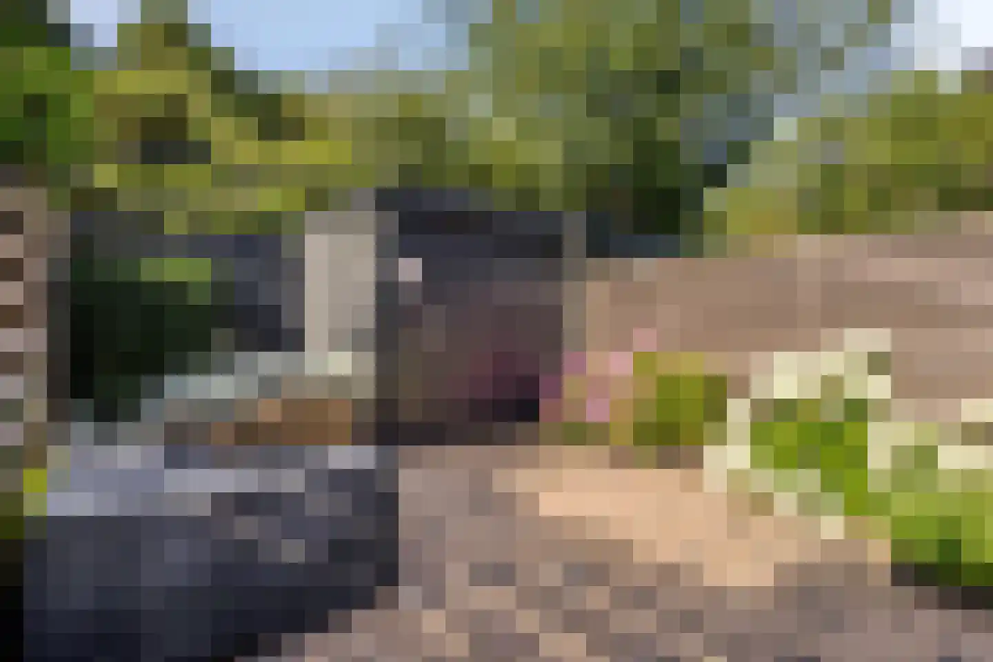 Lemsteraakwerf 5 Leiden thumbnail 32
