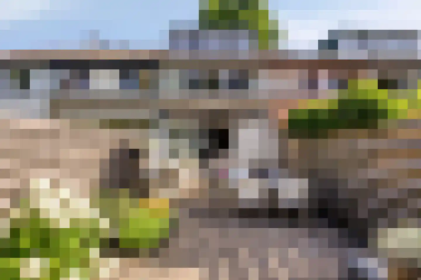 Lemsteraakwerf 5 Leiden thumbnail 33