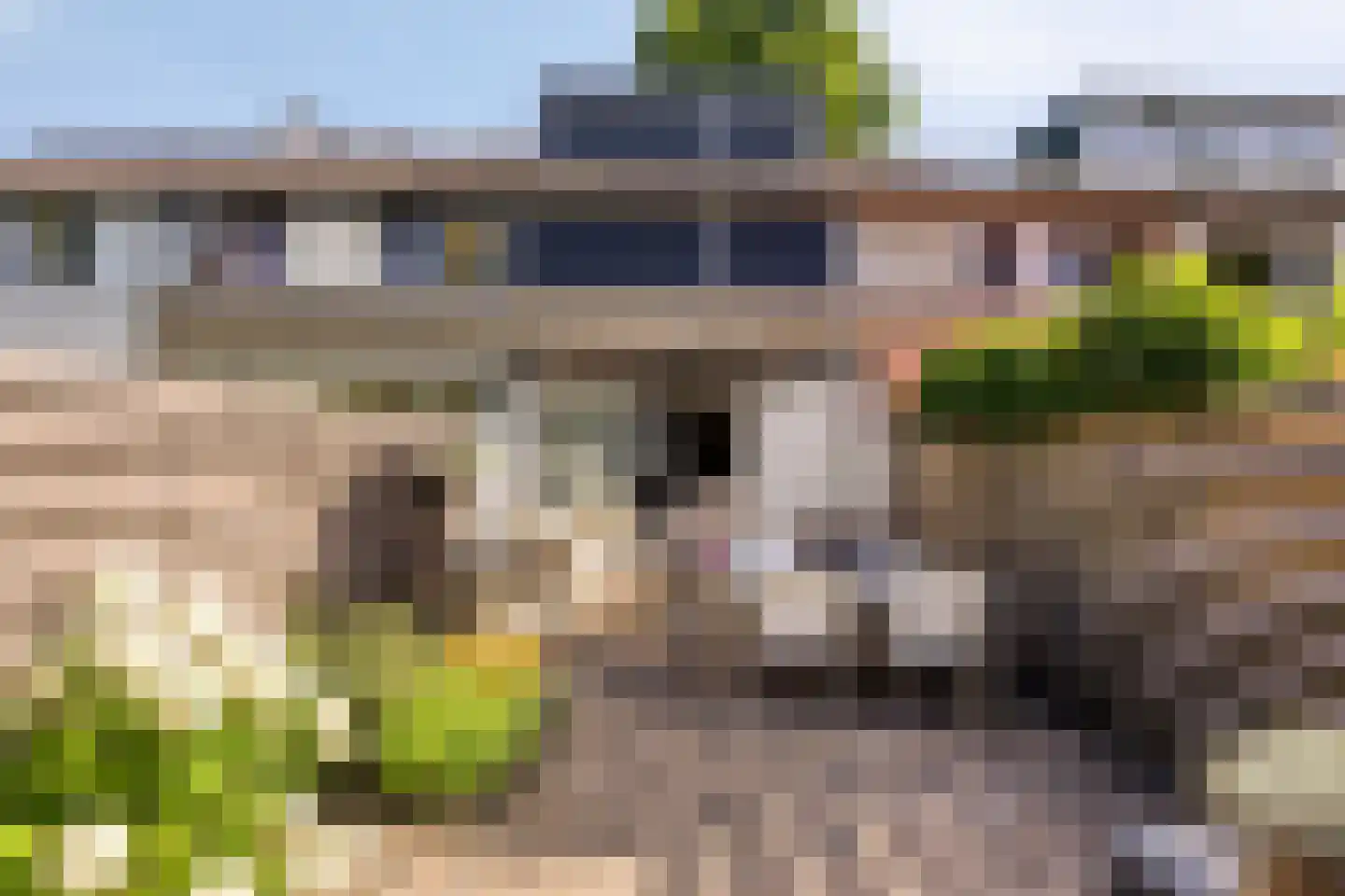 Lemsteraakwerf 5 Leiden thumbnail 34