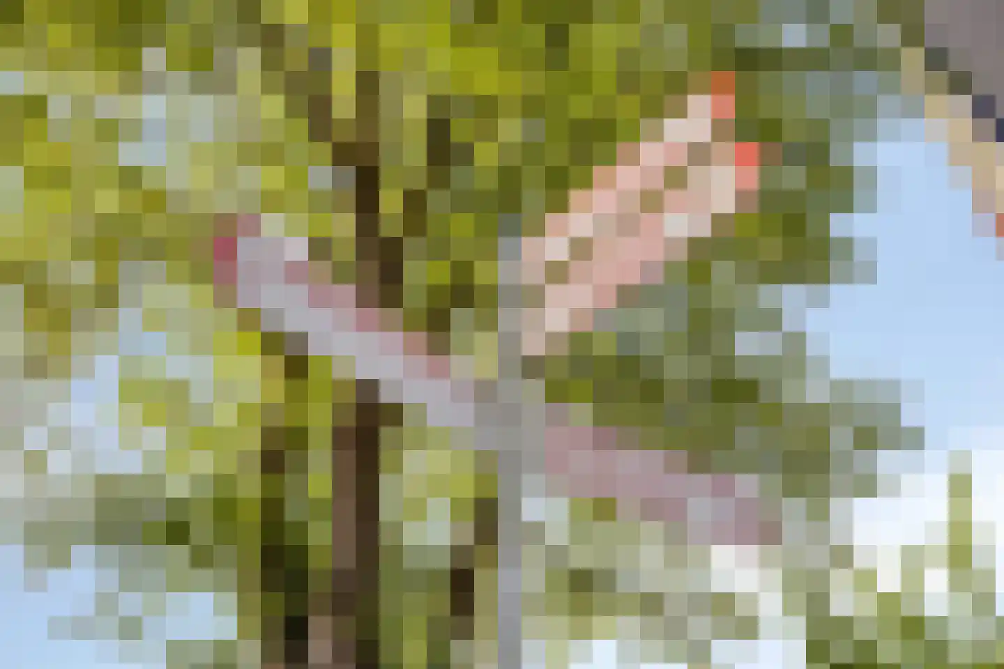 Lemsteraakwerf 5 Leiden thumbnail 37