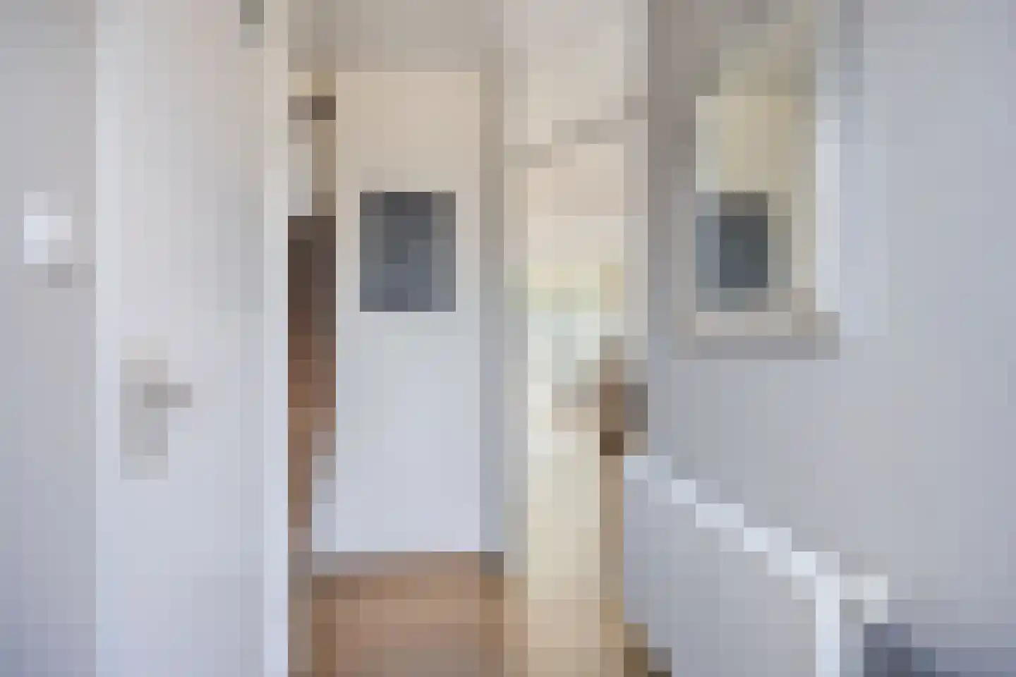 Lemsteraakwerf 5 Leiden thumbnail 4