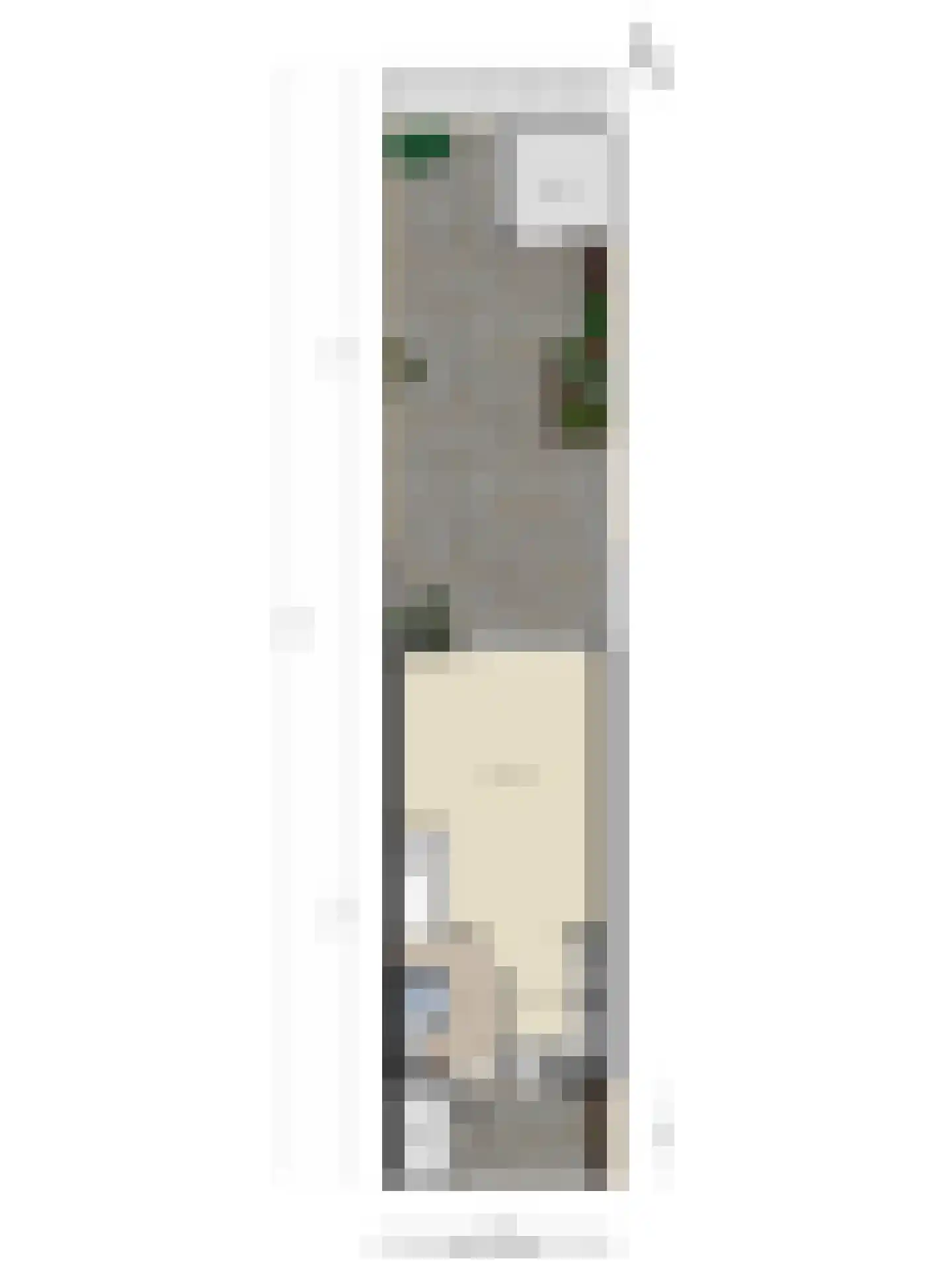 Lemsteraakwerf 5 Leiden thumbnail 43