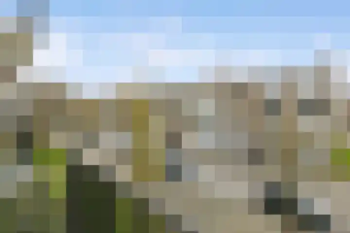 Lemsterhoek 10 Rotterdam thumbnail 28