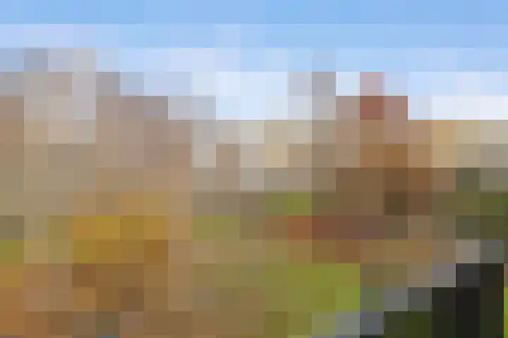 Lemsterhoek 10 Rotterdam thumbnail 31