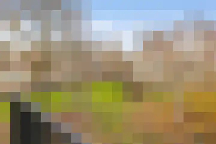 Lemsterhoek 10 Rotterdam thumbnail 32