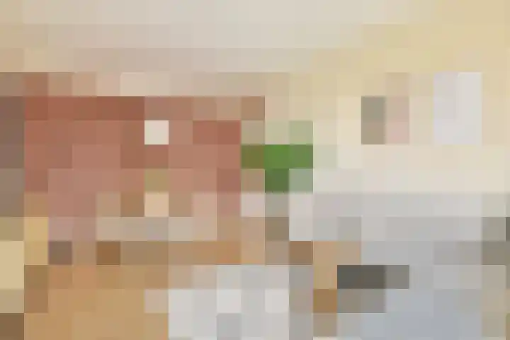 Lemsterhoek 24 Rotterdam