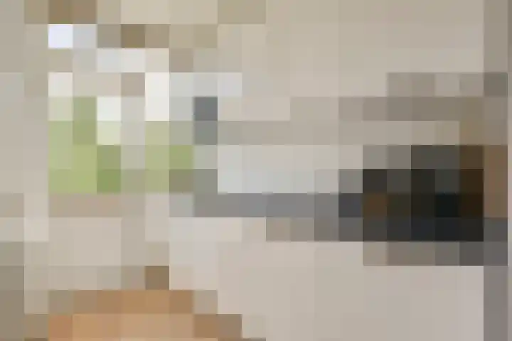 Lemsterhoek 24 Rotterdam thumbnail 13