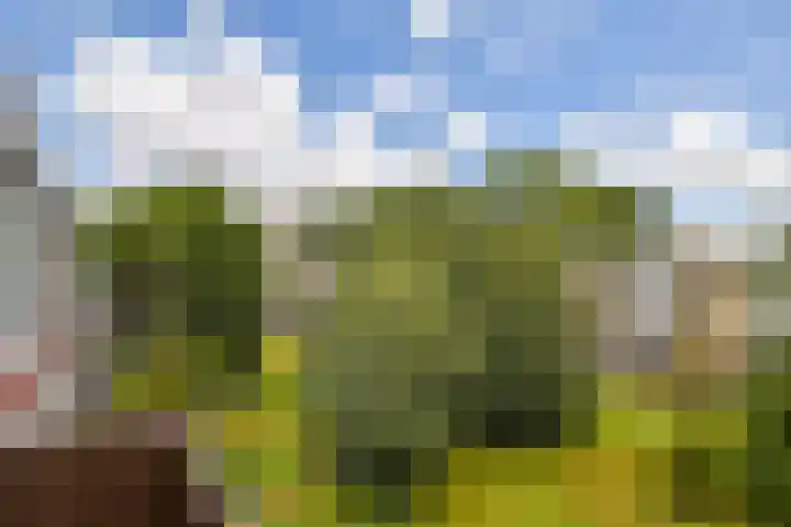 Lemsterhoek 24 Rotterdam thumbnail 14