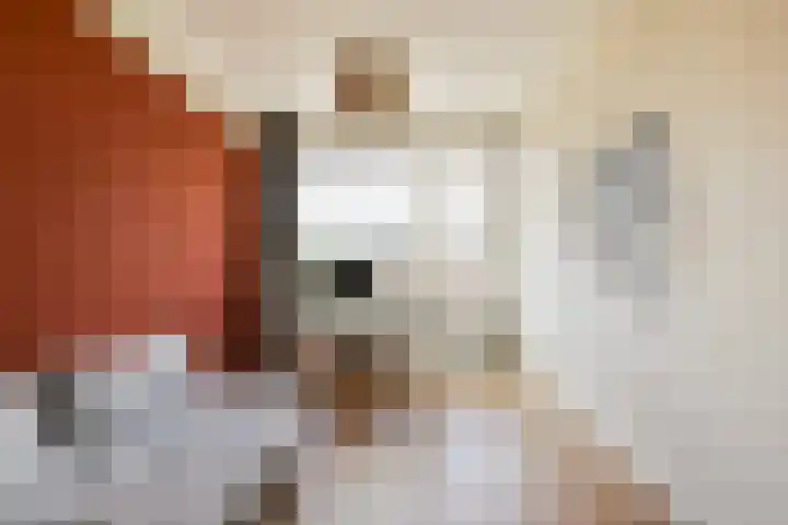Lemsterhoek 24 Rotterdam thumbnail 20