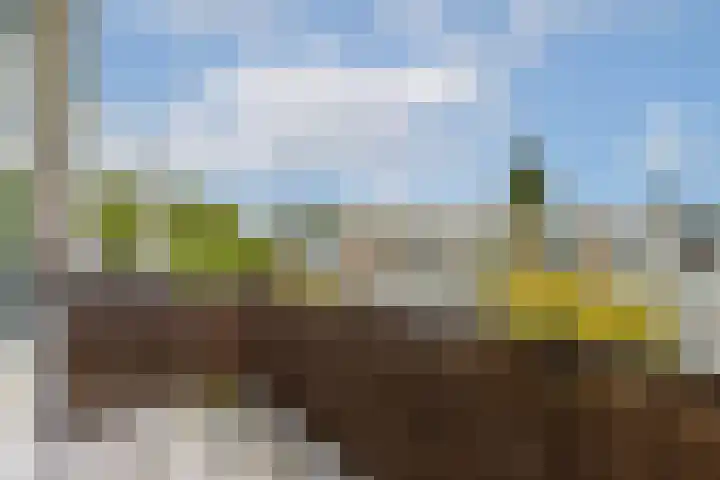 Lemsterhoek 24 Rotterdam thumbnail 22