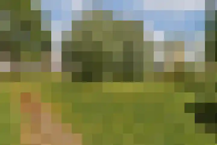 Lemsterhoek 24 Rotterdam thumbnail 23