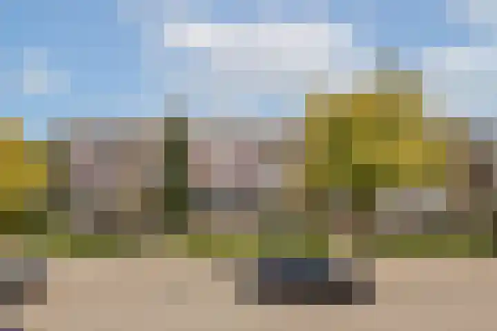 Lemsterhoek 24 Rotterdam thumbnail 5