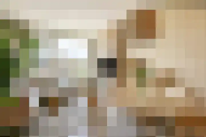 Lemsterhoek 24 Rotterdam thumbnail 7