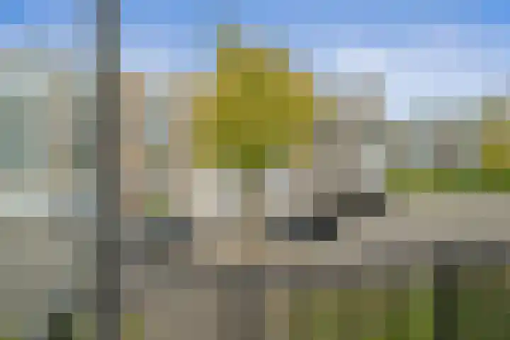 Lemsterhoek 26 Rotterdam thumbnail 25