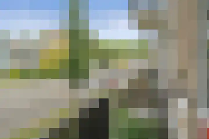 Lemsterhoek 26 Rotterdam thumbnail 26