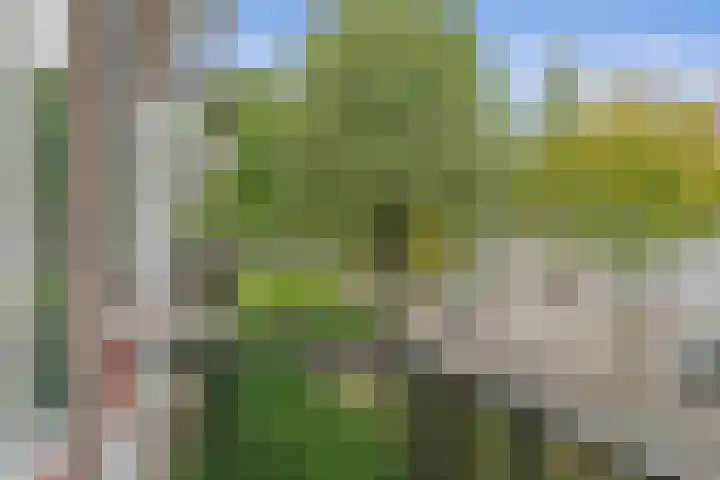 Lemsterhoek 26 Rotterdam thumbnail 27