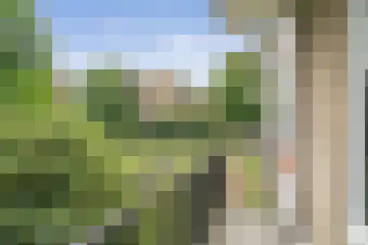 Lemsterhoek 26 Rotterdam thumbnail 31