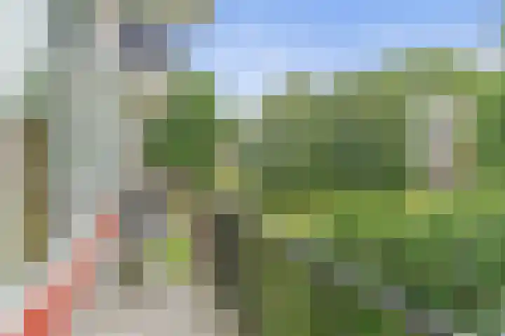 Lemsterhoek 26 Rotterdam thumbnail 32