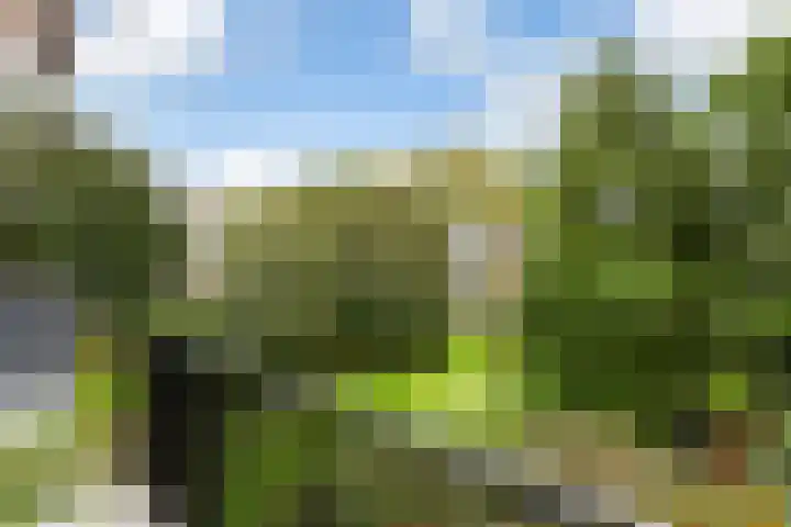 Lemsterhoek 28 Rotterdam thumbnail 24