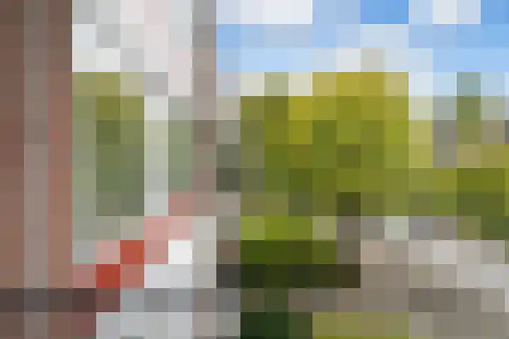 Lemsterhoek 28 Rotterdam thumbnail 30
