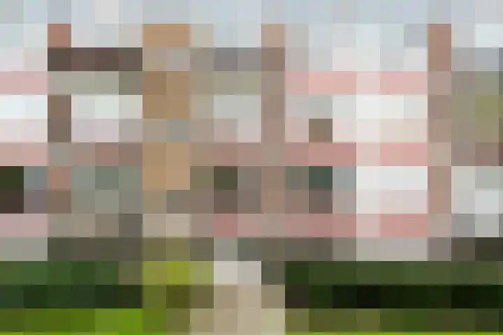 Lemsterhoek 28 Rotterdam thumbnail 5